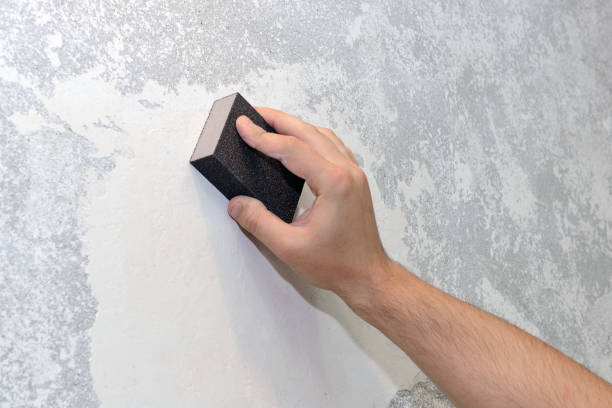 Best Environmental Consulting for Mold Prevention  in Eagle Point, OR