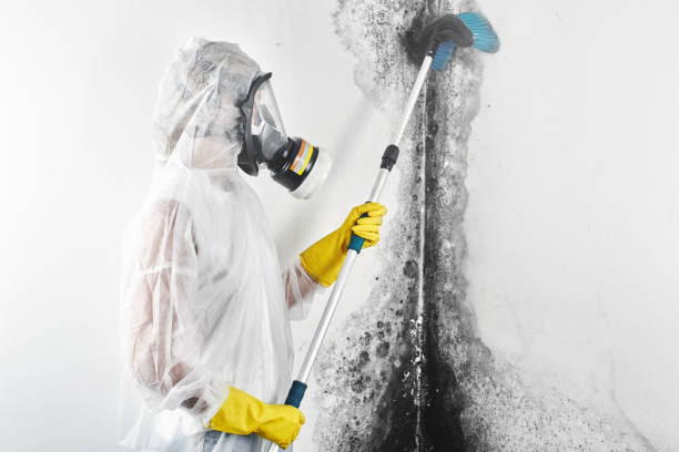 Best Dehumidification Services  in Eagle Point, OR