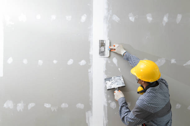 Best Basement Mold Removal  in Eagle Point, OR