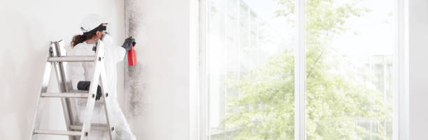 Best Emergency Mold Remediation  in Eagle Point, OR